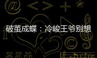 破茧成蝶：冷峻王