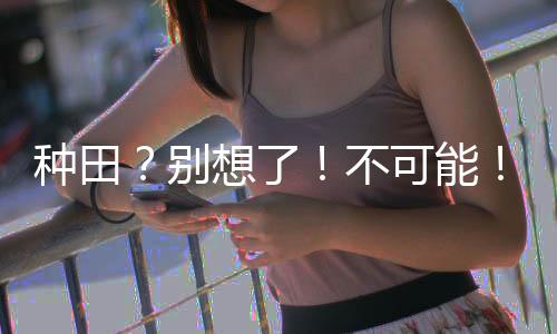 种田？别想了！不可能！