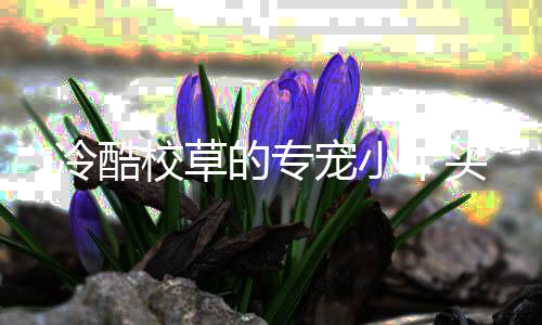 《电竞大神暗恋我》全文在线阅读