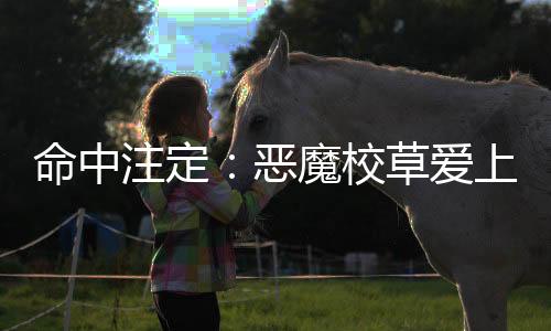 《港夏烈吻》全文在线阅读