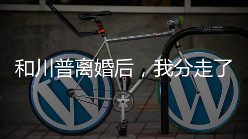 和川普离婚后，我分走了半个美国
