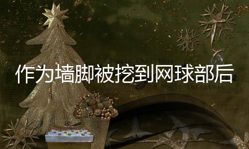 《重生年代，福气包在厂区吃瓜看戏》全文在线阅读