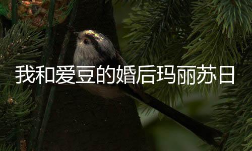 《重生七零：嫁了个傲娇汉子》全文在线阅读