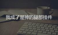 我成了楚神的腿部