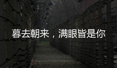 暮去朝来，满眼皆是你