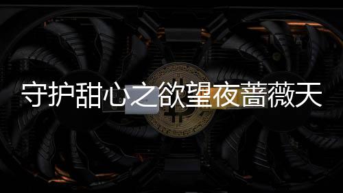 守护甜心之欲望夜蔷薇天使