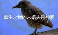 重生之我的未婚夫