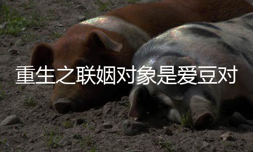 《黄泉快递：亲，记得五星好评哟》全文在线阅读