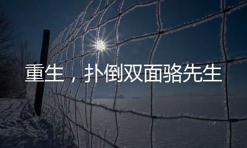 《七零：随军辣媳带飞大院暴富逆袭》全文在线阅读