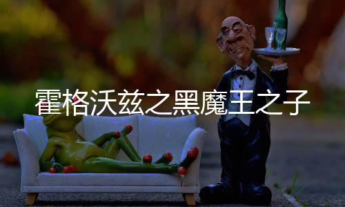 霍格沃兹之黑魔王之子