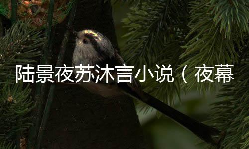 《重生年代大院娇媳美又飒》全文在线阅读