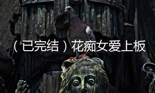 （已完结）花痴女爱上板凳男